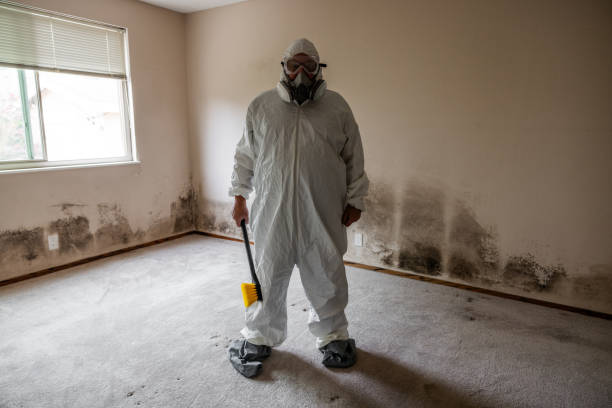 Professional Mold Remediation in Lester Prairie, MN